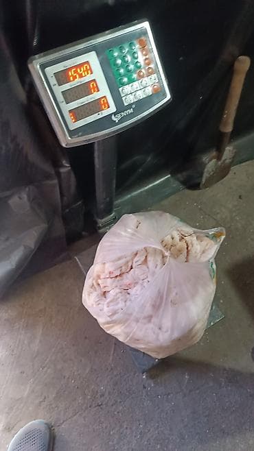 купить набор кухонных ножей: Свежий внутренний баранина жир (жир-сырец) - Натуральный баранина — 2