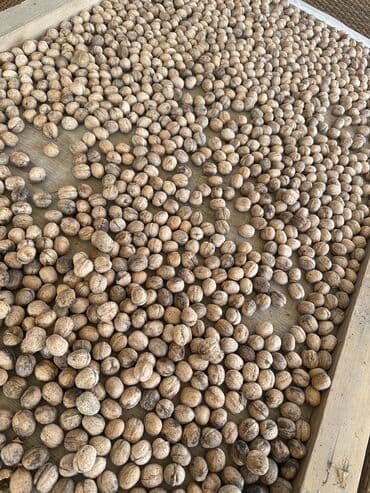 рыба вяленая: Грецкие орехи в скорлупе. - Натуральные, собранные вручную - Крупные — 3