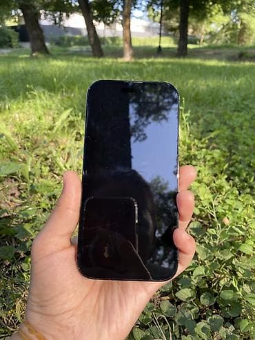 magic 9 pro: IPhone 14 Pro, 256 ГБ, Графит, 77 % — 2