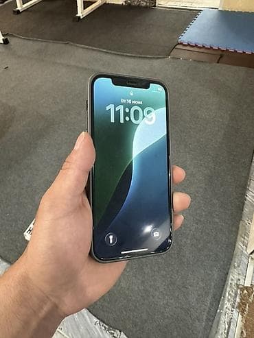 IPhone 12 Pro, 256 ГБ, Space Gray, Чехол, 84 % — 2