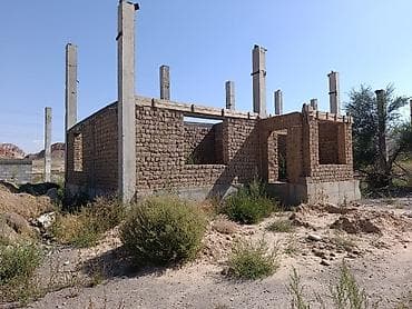 баа: 5 соток — 6