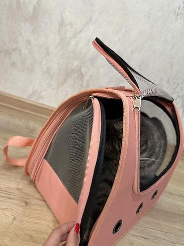 сколько стоит переноска для собак: Продаю переноску для кошек,котов. В хорошем состоянии, продаем из за — 4