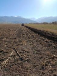 продаю или меняю на недвижимость: Услуги пахаты с возненсеновка Алексеевка Сары Булак Эркин Сай — 6