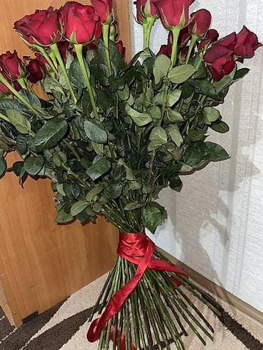 букет из роз: Букет из красных роз

Узундугу 70 м
Кызыл розалар
Тойдон жаны чыкты — 2