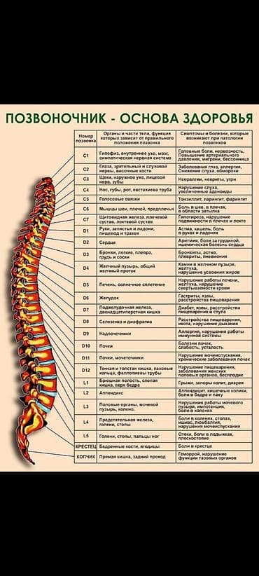 инвалидная коляска бишкек: Лечебный массаж Fohooow — 4