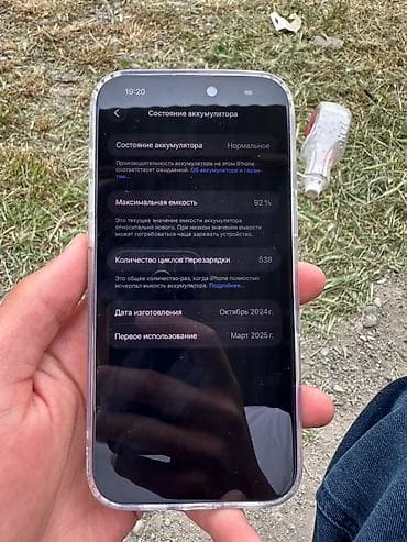 s pen: IPhone 16 Pro Max, Б/у, 256 ГБ, Серебристый, Коробка, 92 % — 5