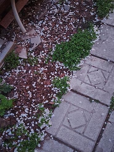 Отдам бесплатно: 2 пакета л вещей для девочек (примерно на 12–15 лет) at lalafo.kg Отдам бесплатно: 2 пакета л вещей для девочек (примерно на 12–15 лет)
