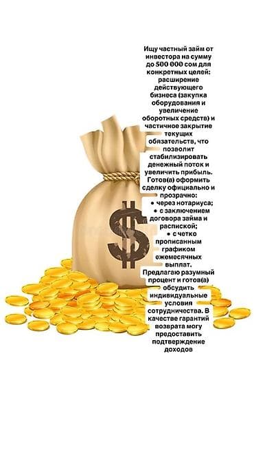 Ищу частный займ от инвестора на сумму до 500 000 сом для конкретных — 1