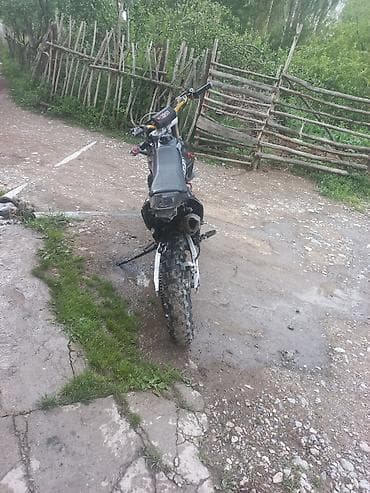 Эндуро 300 куб. см, Бензин, Взрослый, Б/у — 4