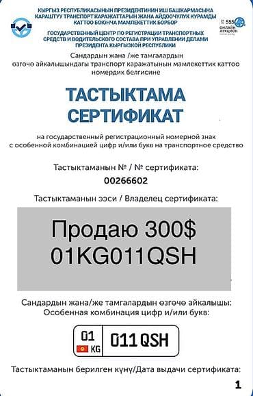 зеркало домашнее: Особенный государственный регистрационный номер КР: 01KG011QSH Цена — 2