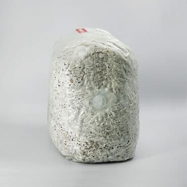 отун оптом: Грибы Самовывоз — 1