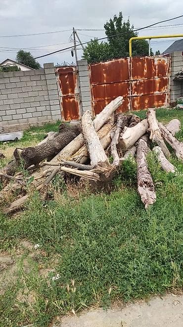 Дрова: Дрова — 2