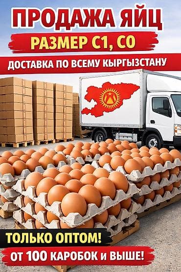 Куриные яйца для оптовых покупателей. - Размеры: C1 -6 сом . - C0- 8