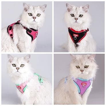 кота: Продаю игрушку/когтеточку/лежанку 3в1,с кошачей мятой,вашему котику — 4