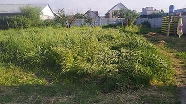 куплю участок бишкек: 16 соток, Для строительства, Красная книга — 5