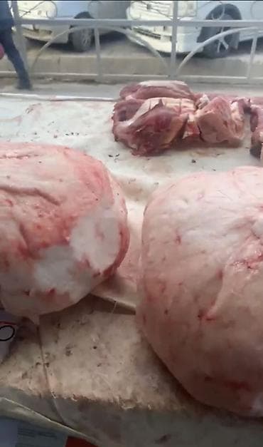 сколько стоит конина в бишкеке: Халал курдюк. Куйрук (бараний жир) Свежий, натуральный курдюк из — 5