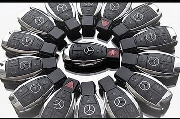 нужно спилить дерово: Спринтер чип Спринтер рыбка Ремонт замка Рекс изготовим ключ по замку — 2