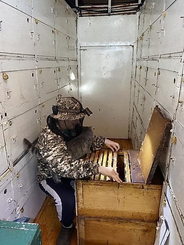 Башка жаныбарлар: Маточное молочко по 5 мл в шприце — 1