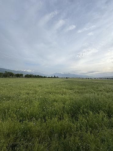 куплю участок пригородный: 282 соток, Для строительства, Договор купли-продажи, Красная книга — 3