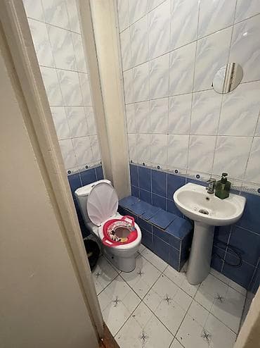 жалал абад кыз керек: 2 бөлмө, Менчик ээси, Чогуу жашоосу жок, Жарым -жартылай эмереги бар — 4