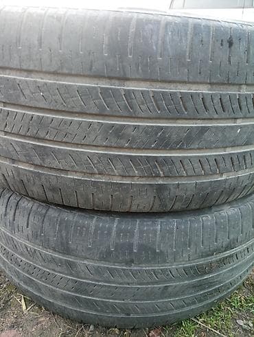 rx 550: Шины 265 / 50 / R 20, Лето, Пара, Внедорожные (АТ/МТ), Корея, Nexen — 2