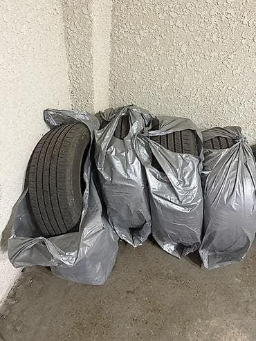 55: Шины 215 / 55 / R 17, Лето, Легковые, Michelin — 5