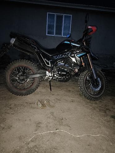 Эндуро 300 куб. см, Бензин, Взрослый, Новый