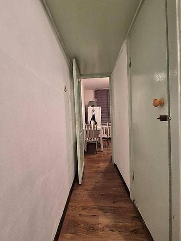 изба: 1 комната, 33 м², 2 этаж — 9