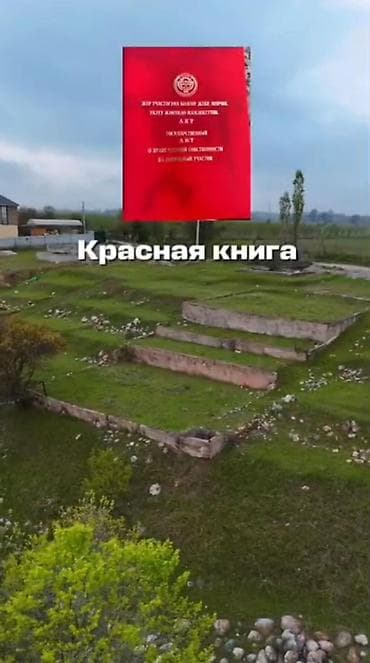 село байтик дом: 35 соток — 3