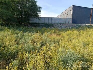 меняю на дом: 4 соток, Для сельского хозяйства, Красная книга — 10