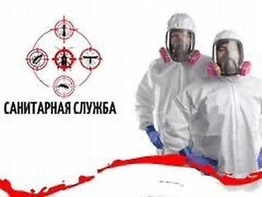 Клининговые услуги: Дезинфекция, дезинсекция, | Блохи, Вирусы, микробы, Клопы, | Дворы, Дома, Кафе, магазины — 6