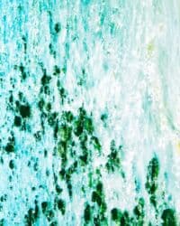 фото албом: Nikon COOLPIX S2600 Подходит для фотодневника, пейзажей, портретов — 14