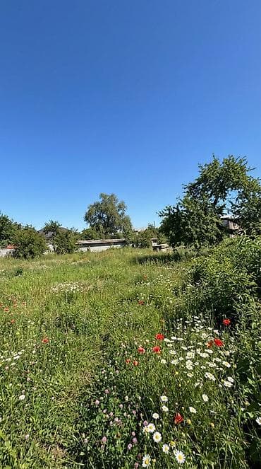 продаю дом варансовка: 16 соток, Для строительства, Красная книга — 9