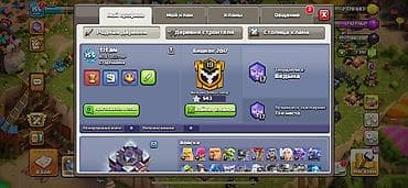 сиделка на дому: Игровой аккаунт Clash of Clans - Уровень профиля: 155 - Ратуша (TH) — 8
