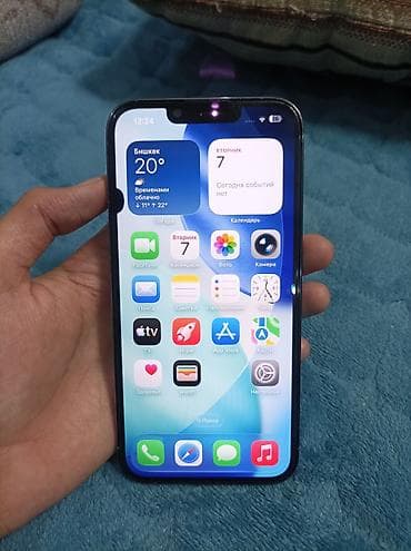 IPhone 13 Pro, Б/у, 256 ГБ, Sierra Blue, Чехол, 100 %