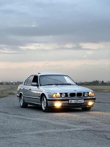 BMW 5 series: 1994 г., 2.5 л, Механика, Бензин, Седан