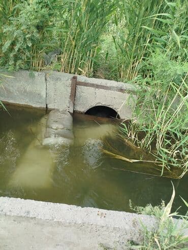 продаю дом бишкек сокулук: 500 соток, Айыл чарба үчүн, Кызыл китеп — 4