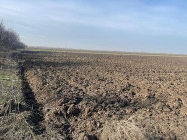 дом арча бешик 3: 8 соток, Айыл чарба үчүн, Сатып алуу-сатуу келишими — 3