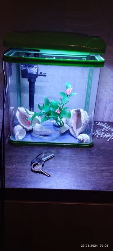 Аквариум в отличном состоянии для рыб рыбок 8 литровый. все рабочее