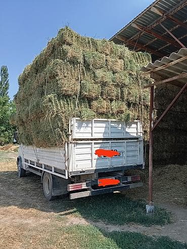 жаны уйлор: Сено в тюках - Тюковое сено из луговых трав, плотные прямоугольные — 1