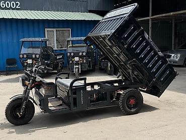 акумулятор 65: Мотороллер муравей Электро, 70 км, 1500 кг и более, Новый — 6