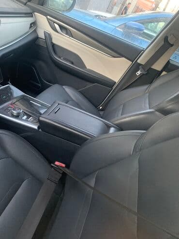 полик нексия 2: Weltmeister EX5, 2020 г., Передний, На заказ — 6