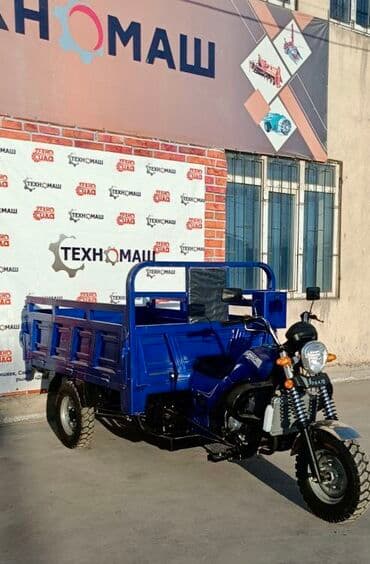 купить муравейник мотоцикл: Мотороллер муравей Бензин, 250 - 299 км, 1500 кг и более, Новый, В рассрочку — 2