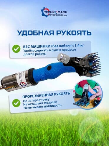 где можно купить молодых кур несушек: СТРИЖКА ОВЕЦ От компании «Техномаш» Профессиональный аппарат ( — 2