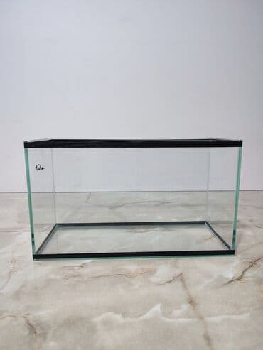 аквариумная рыбка: Прямоугольные — 1