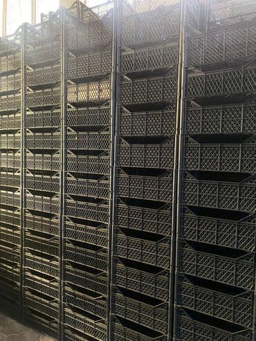 Пластиковый Ящик, Новый