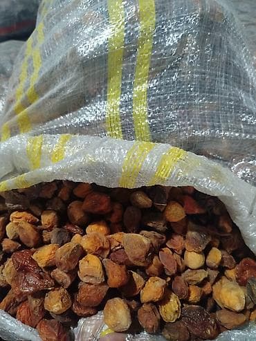 ящик для фрукты: Кампот (кызыл даарыланган) Оптом 30 тонна бар — 2