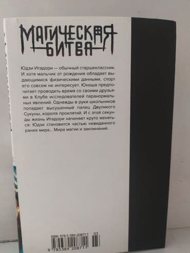 книга python: Манга магическая битва — 2