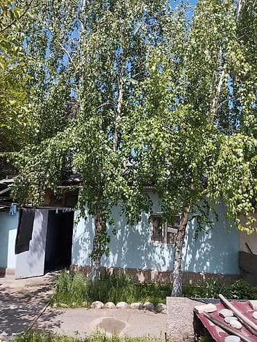 квартиры в золотом квадрате бишкек: 4 комнаты, 74 м², Индивидуалка, 1 этаж, Косметический ремонт — 3