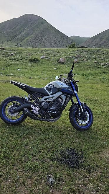 Naked Yamaha, 900 куб. см, Бензин, Чоңдор үчүн